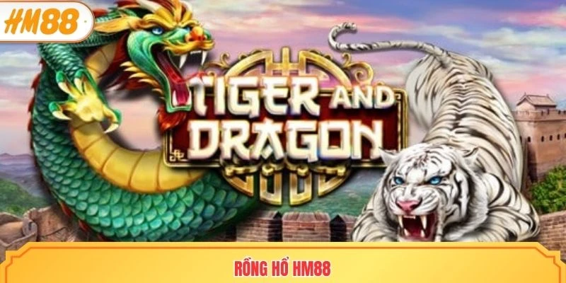 rồng hổ HM88