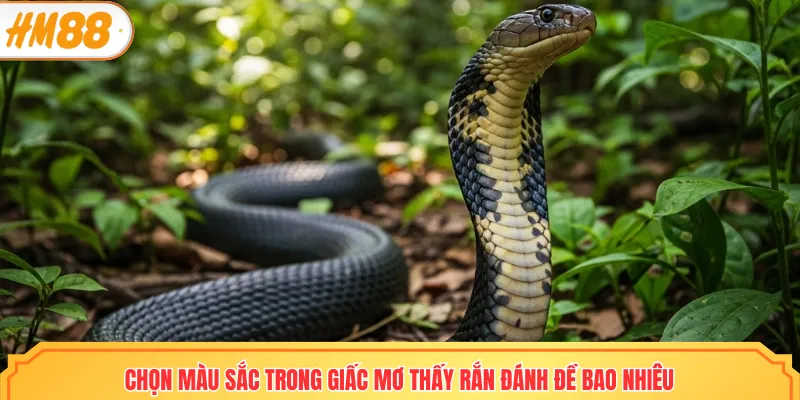 Chọn máu sắc trong giấc mơ thấy rắn đánh đề bao nhiêu