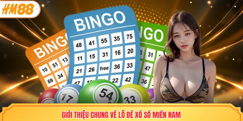 Giới thiệu chung về lô đề xổ số miền nam