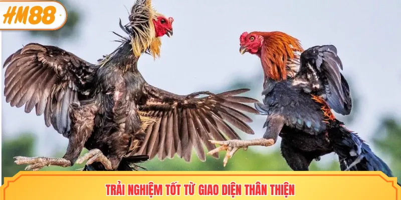 Trải nghiệm tốt từ giao diện thân thiện